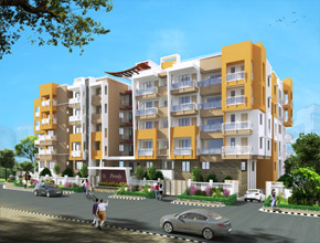 3D View