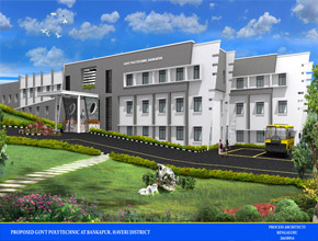 3D View